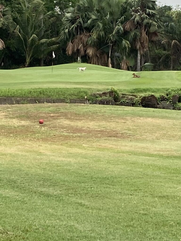 Mountain Shadow Pattaya Golf