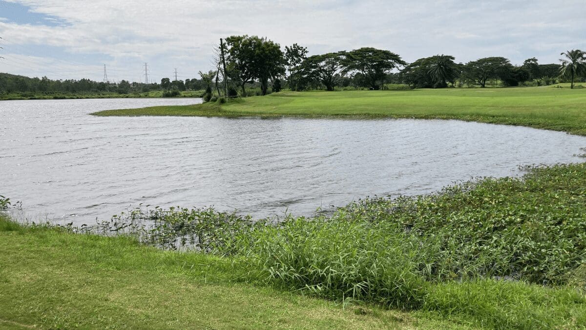 Pattaya Country Club: Where Golf Traditions Meet Modern Perks