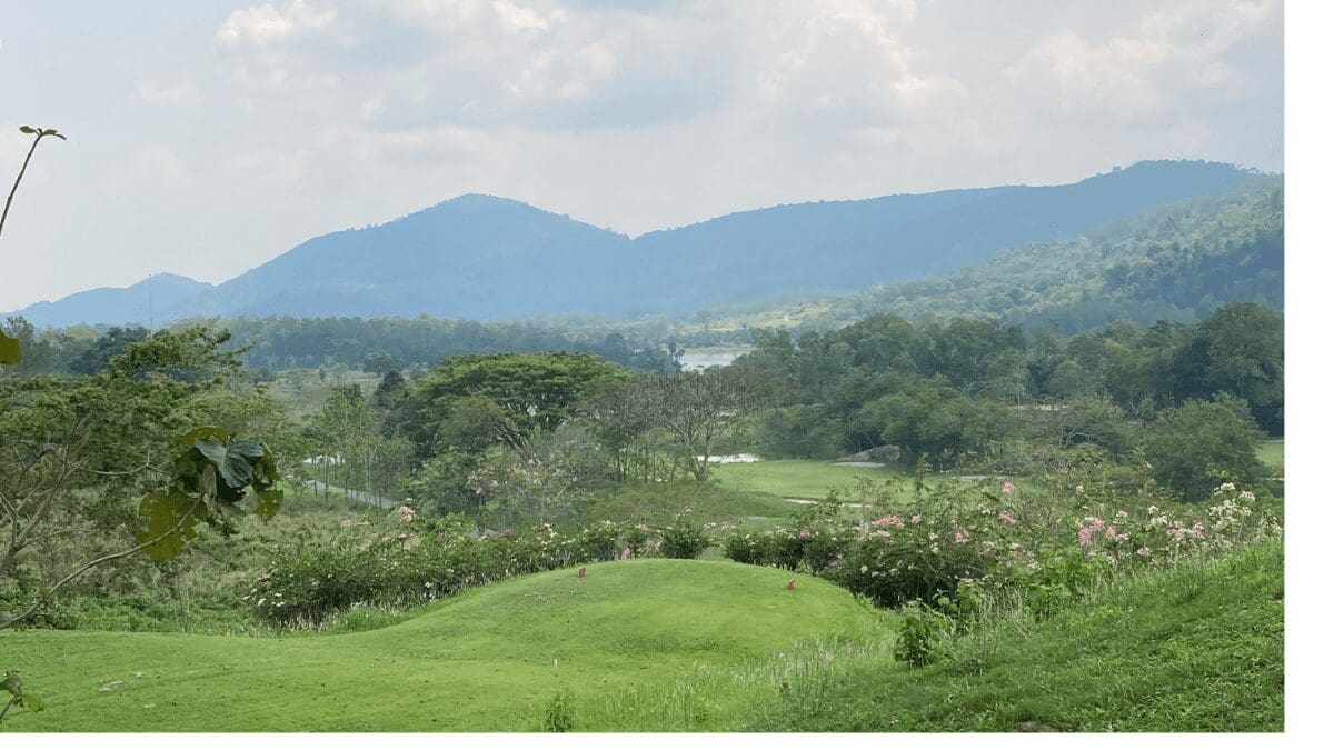 Wangjuntr: Golfing in a Jungle Wonderland