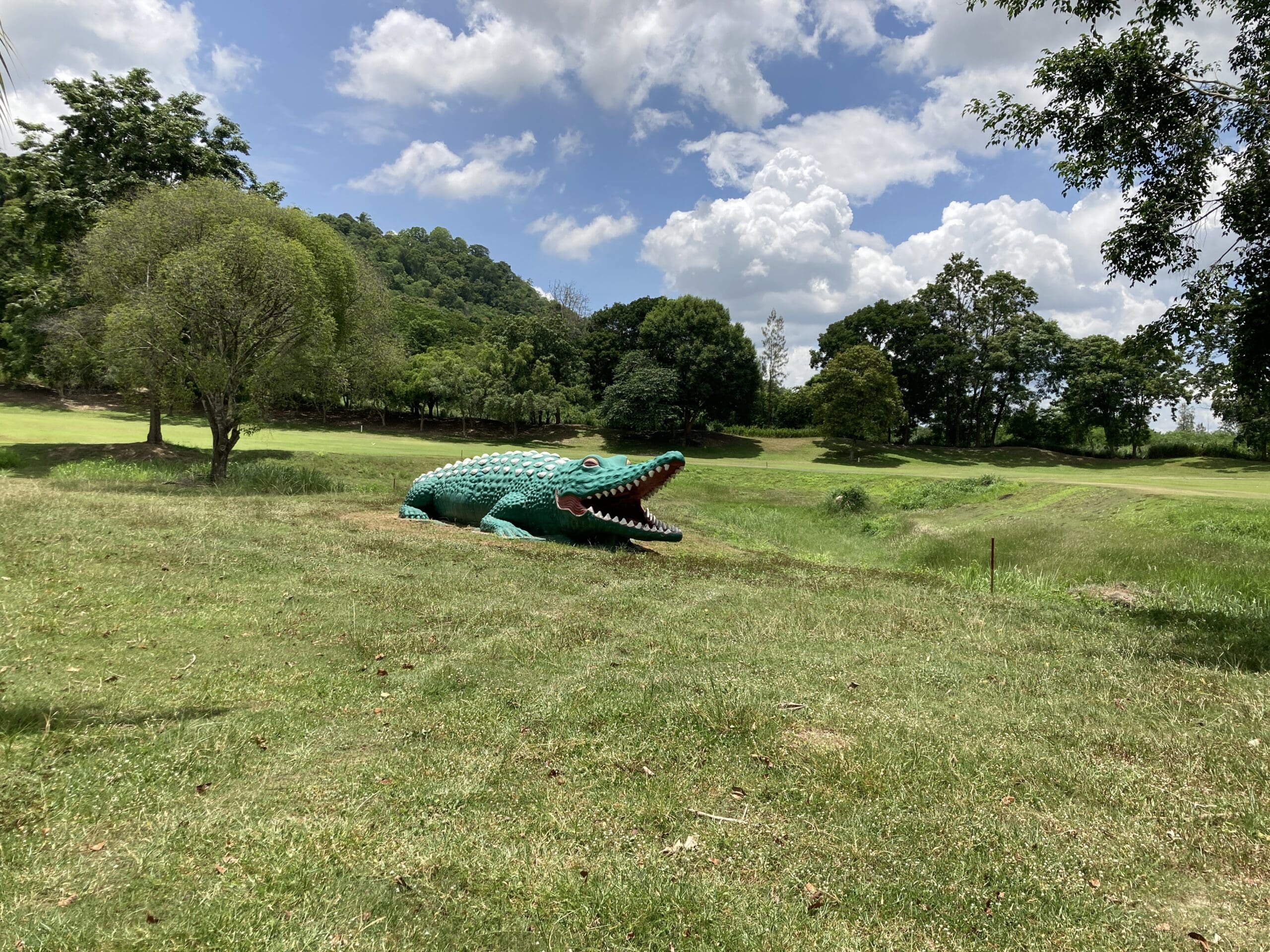 treasure hill golf alligator
